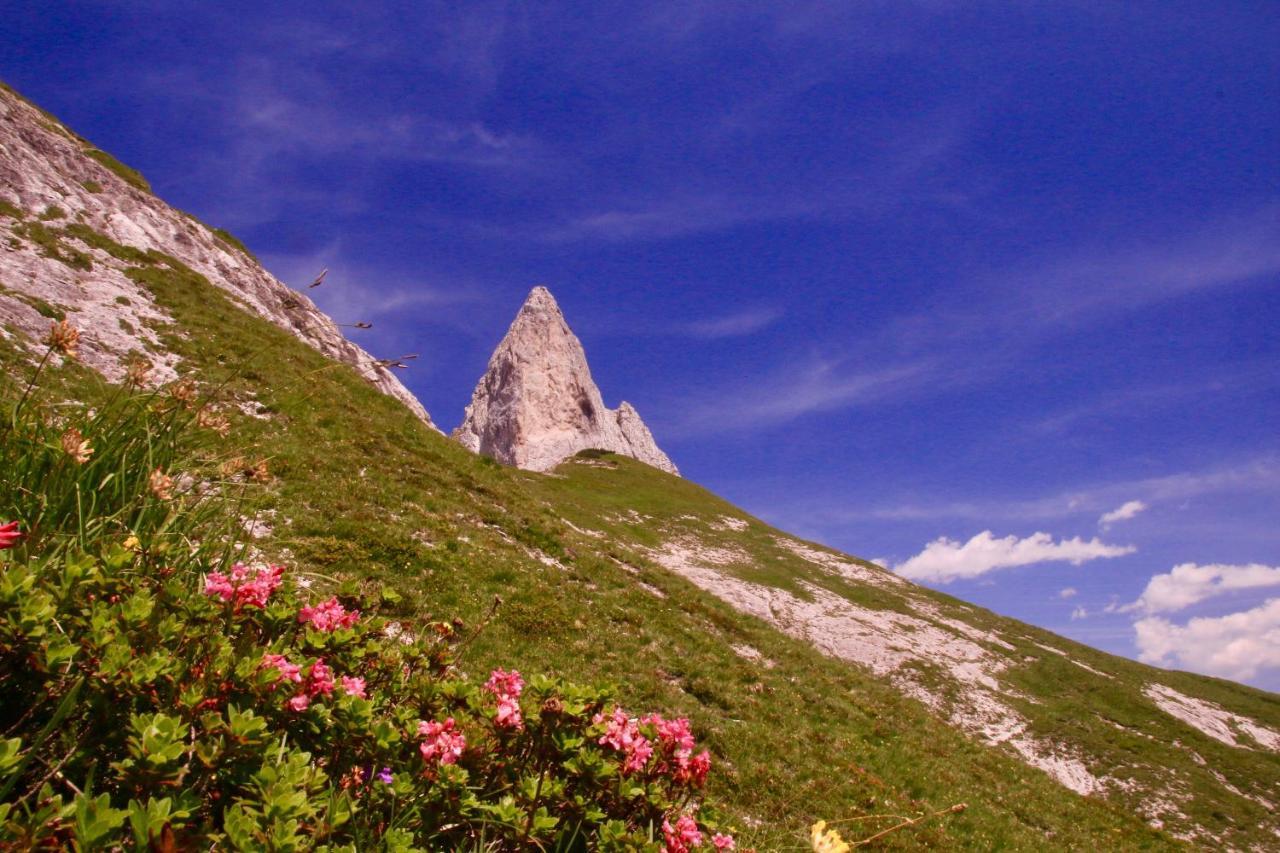 Schermerhuetten Tauplitzalm Exterior photo